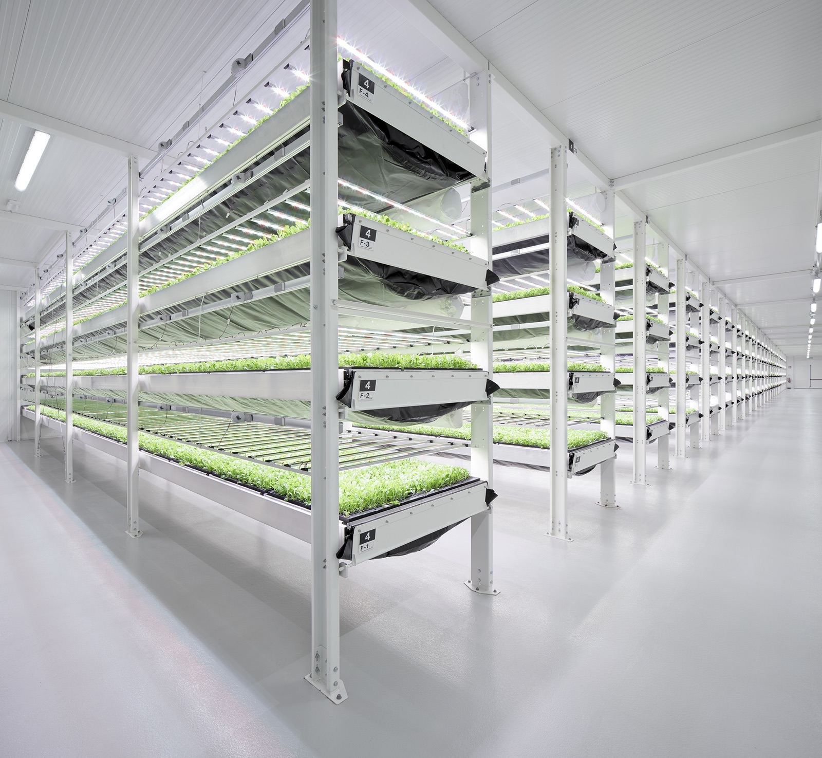 Vertical-farm cultivation hall.