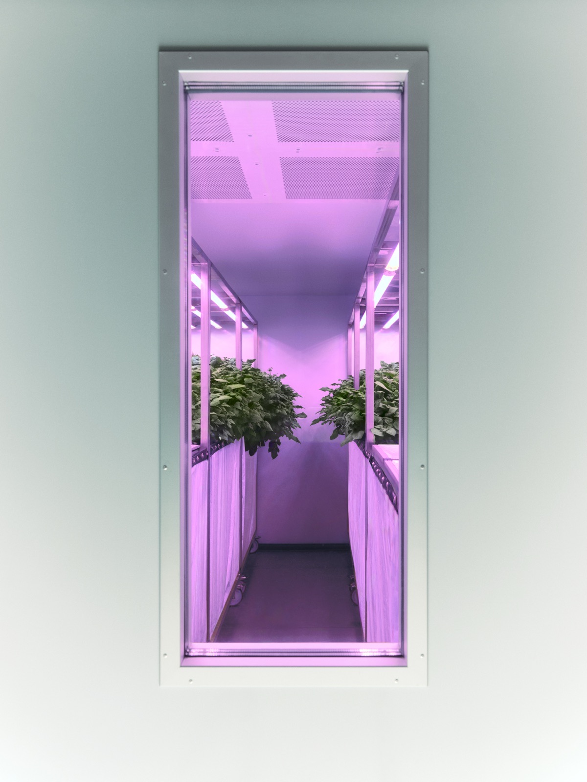 LED growth chamber.