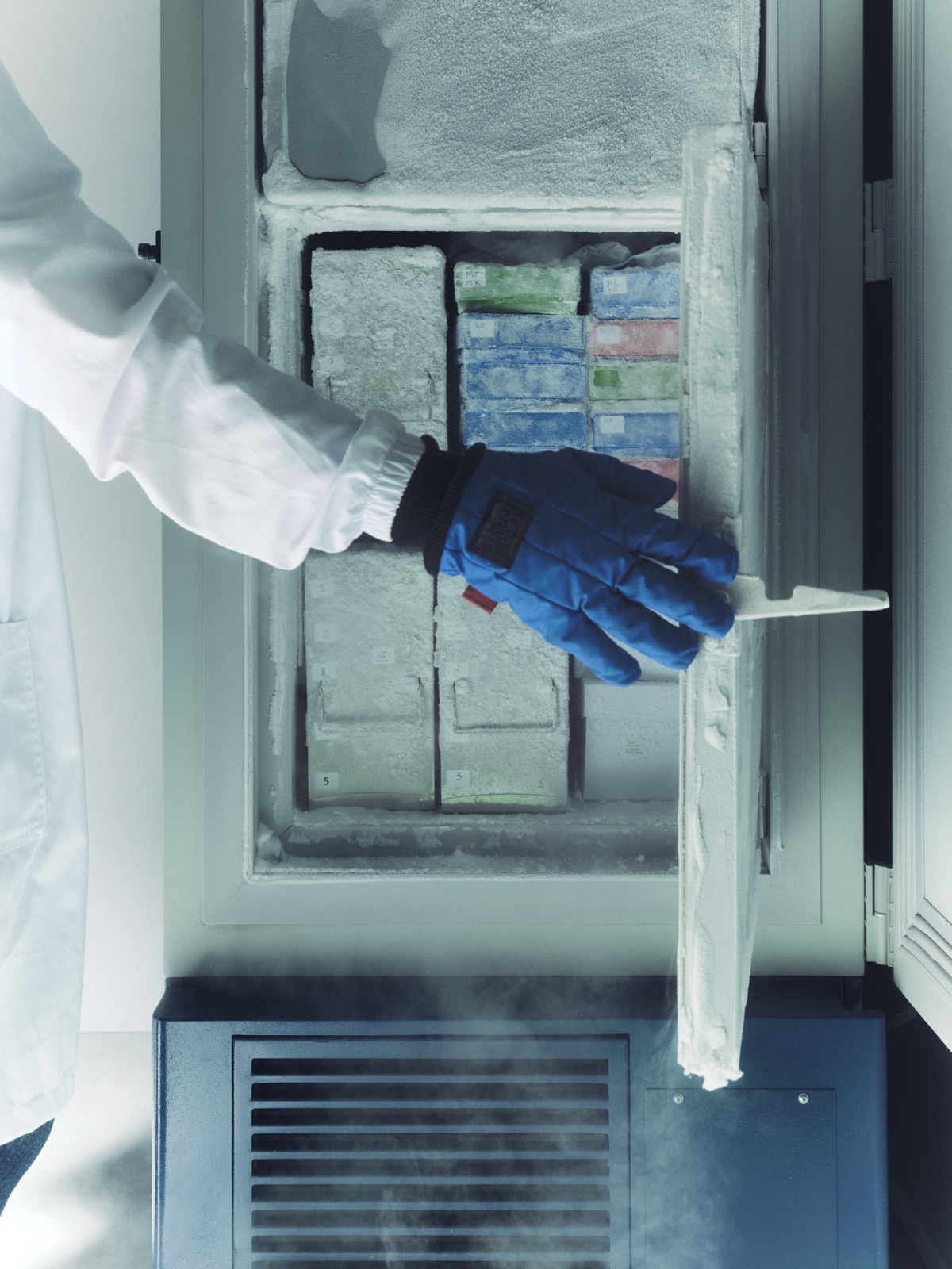 Cryogenic sample storage.