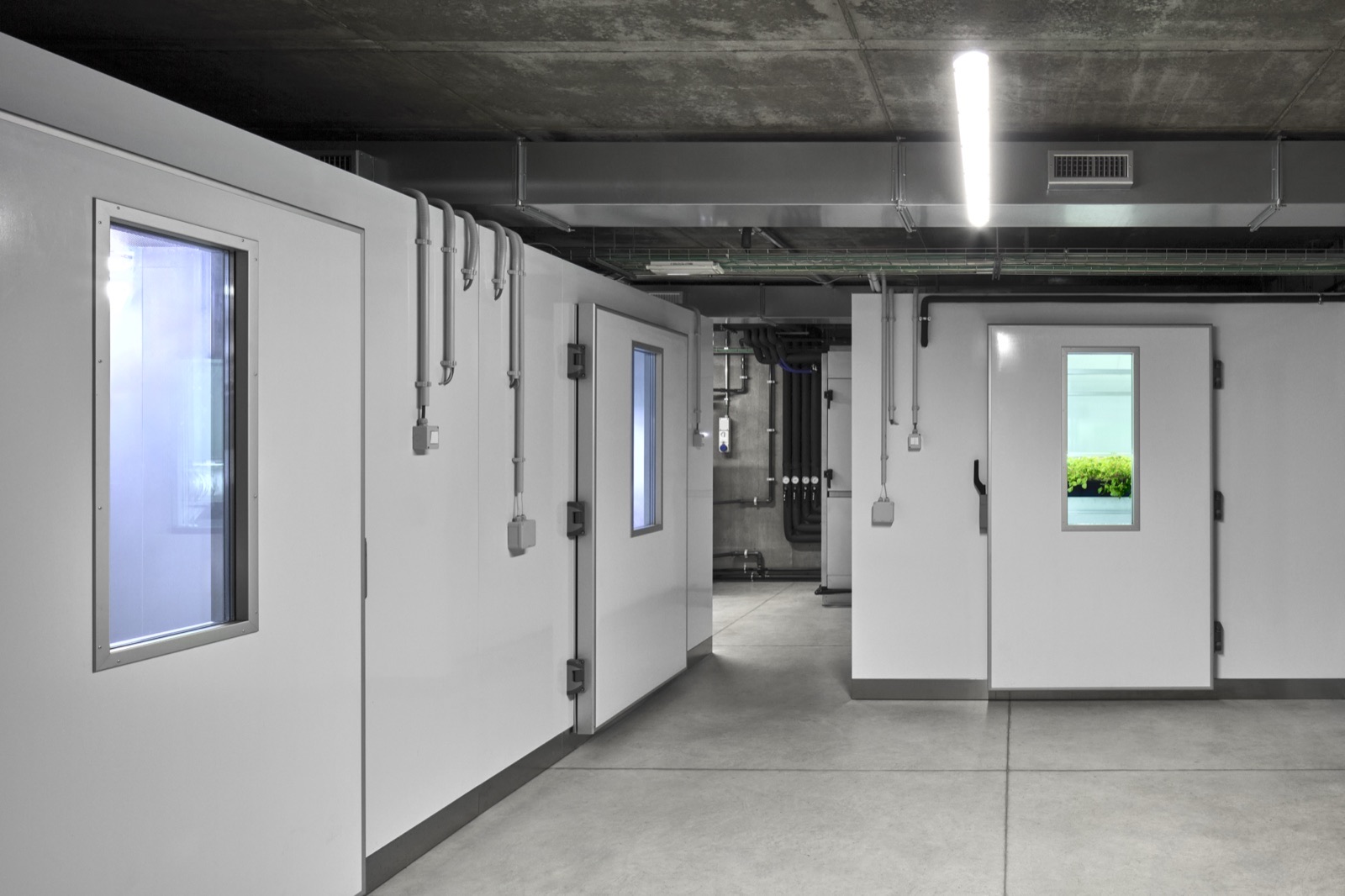 Growth-chamber corridor.