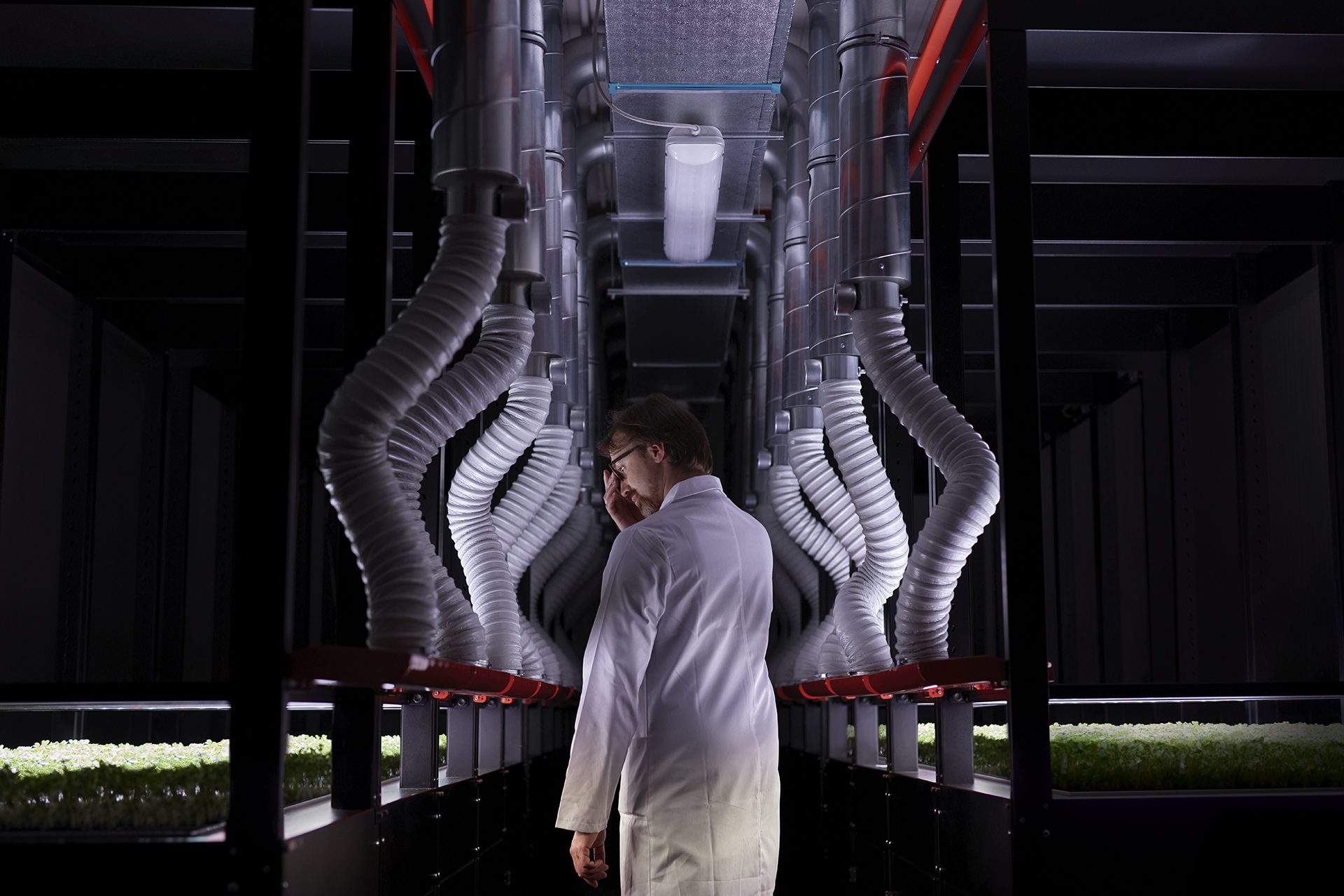 A researcher at work in a growth chamber in the FFI labs in Roncade.